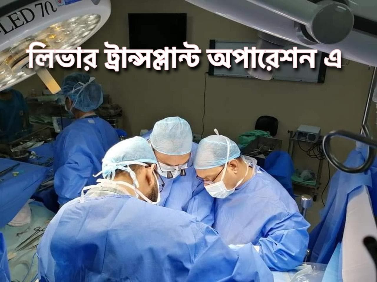 surgery liver transplant or